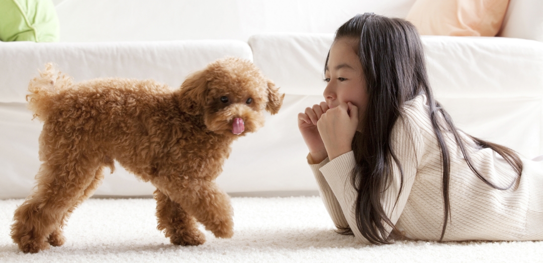 ブリーダーとお客様をつないでいくことが私たちの役目です。