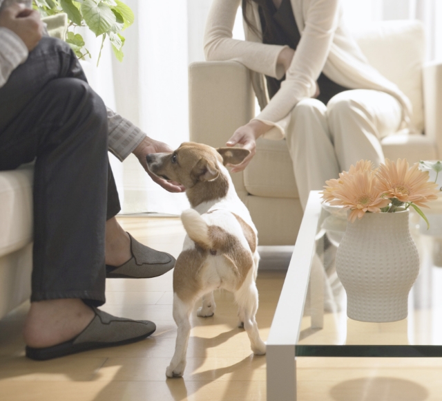 わたしたちの想い