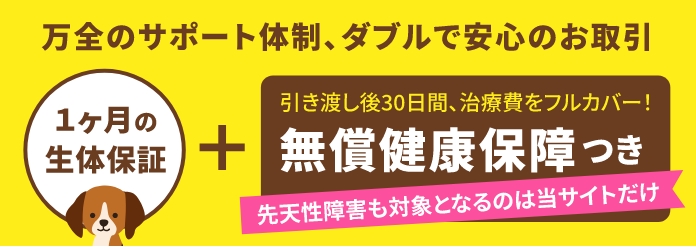 安心の無償健康保障