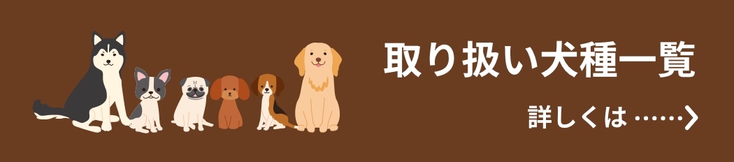 取り扱い犬種一覧