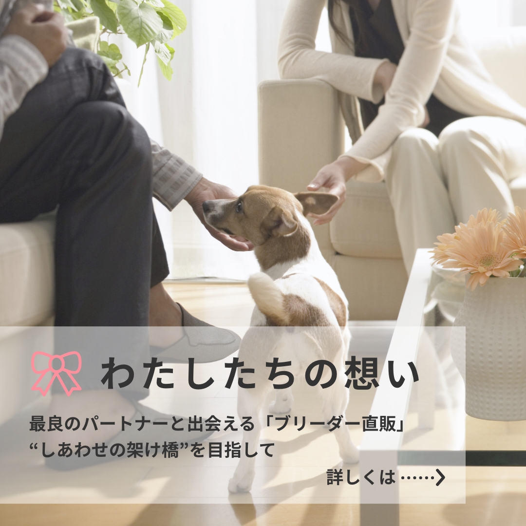 わたしたちの想い