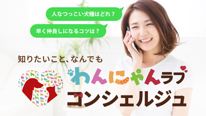 わんにゃんラブコンシェルジュ