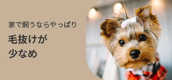 シニアの方におすすめ運動量少なめOK