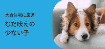 むだ吠えの少ないワンちゃん