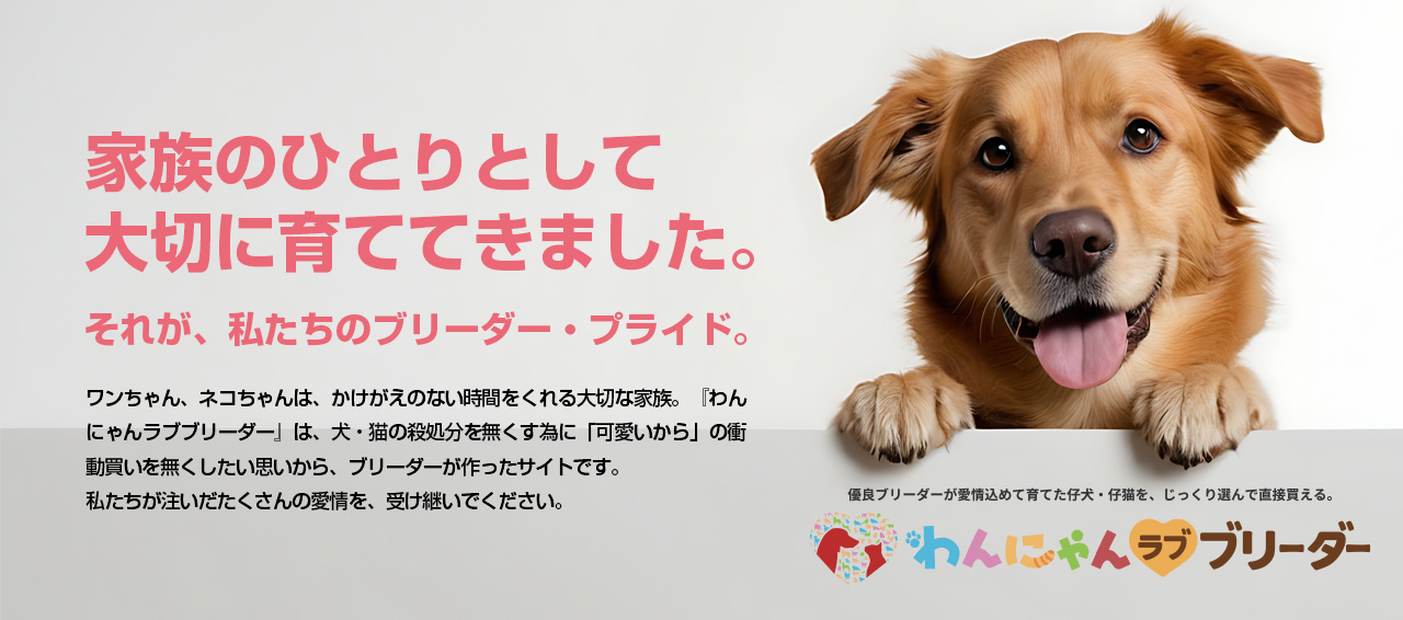 「家族のひとりとして⼤切に育ててきました」それが、わたしたちのブリーダー・プライド。