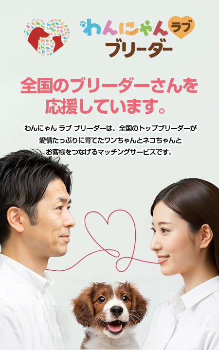 シリアスブリーダー